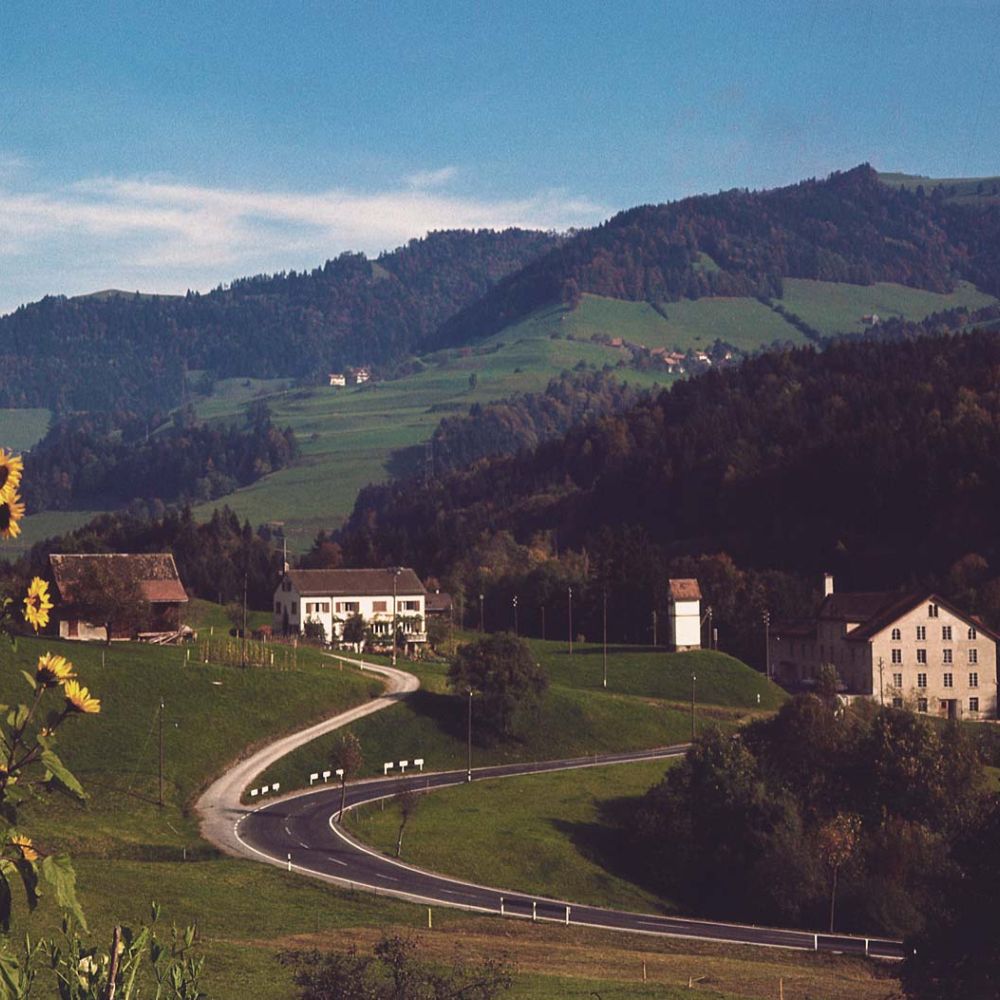 Lorem ipsum dolor sit amet, consetetur sadipscing elitr, sed diam nonumy eirmod tempor invidunt ut labore et dolore magna aliquyam erat, sed diam voluptua. At vero eos et accusam et justo duo dolores et ea rebum. Stet clita kasd gubergren, no sea takimata sanctus est Lorem ipsum dolor sit amet. Lorem ipsum dolor sit amet, consetetur sadipscing elitr, sed diam nonumy eirmod tempor invidunt ut labore et dolore magna aliquyam erat, sed diam voluptua. At vero eos et accusam et justo duo dolores et ea rebum. Stet clita kasd gubergren, no sea takimata sanctus est Lorem ipsum dolor sit amet.